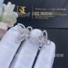 Custom Jewelry Graff Butterfly Silhouette Diamond Stud Earrings RGE879