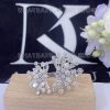 Custom Jewelry Graff New Dawn Multi-Shape Double Diamond Ring RGR745